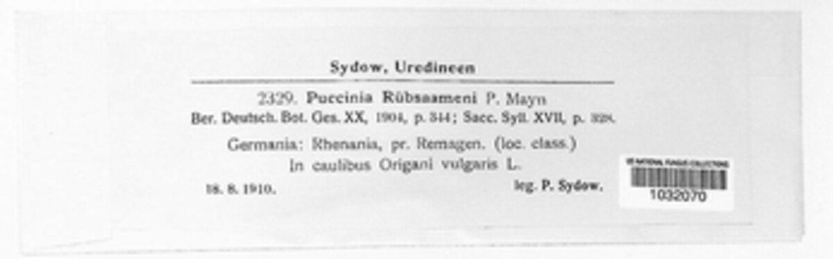 Puccinia rameliana image